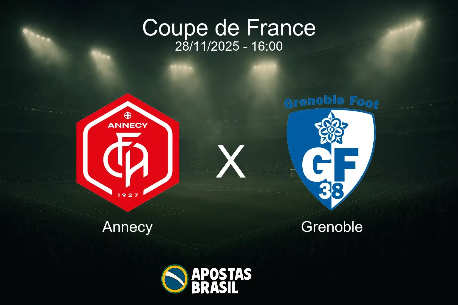 Annecy x grenoble coupe de france 28 11 2025